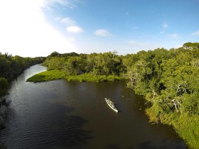 Kosi Forest Lodge