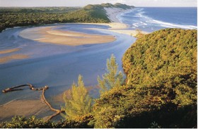 Kosi Forest Lodge