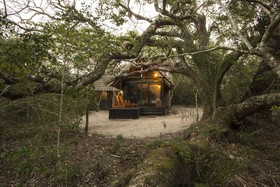 Kosi Forest Lodge