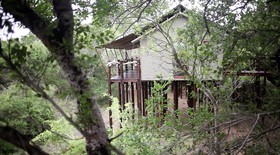 Buffalo Camp