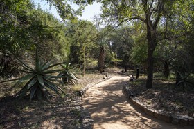 Jabulani
