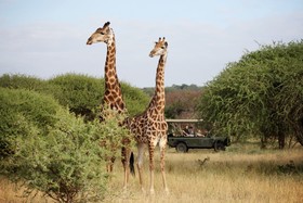 Jabulani