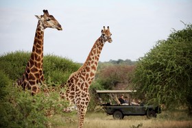 Jabulani