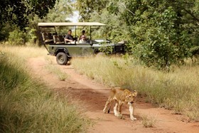 Jabulani