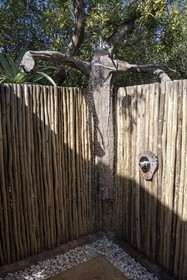 Jabulani