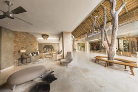 Kapama Southern Camp