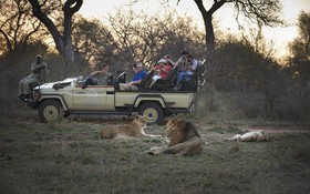 Kapama Southern Camp