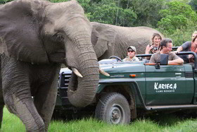 Kariega Game Reserve Ukhozi Lodge