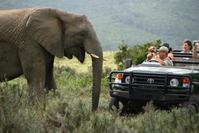 Kariega Game Reserve Ukhozi Lodge