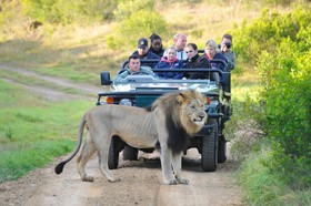 Kariega Game Reserve Ukhozi Lodge
