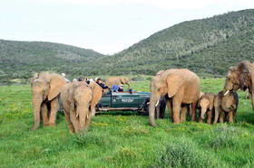 Kariega Game Reserve Ukhozi Lodge