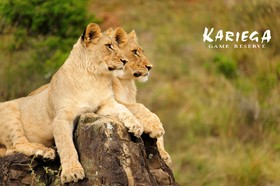 Kariega Game Reserve Ukhozi Lodge