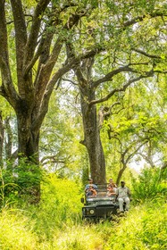 Chisomo Safari Camp