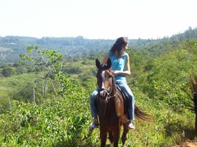 Royal Bakoena Lodge - Hamilton Parks