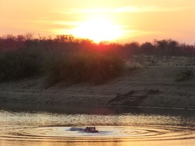 Tulela Safari Lodge