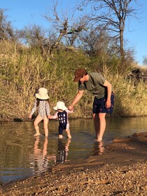 Tulela Safari Lodge