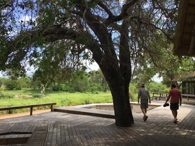 Tulela Safari Lodge