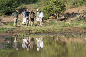Tulela Safari Lodge