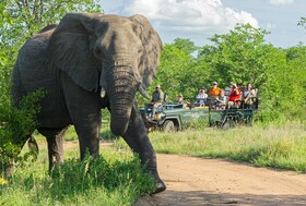 Tulela Safari Lodge