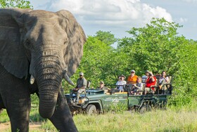 Tulela Safari Lodge