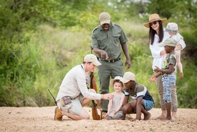 Tulela Safari Lodge