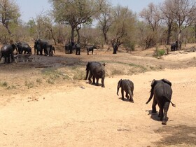 Tulela Safari Lodge