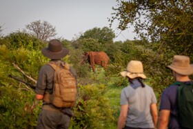 Tulela Safari Lodge