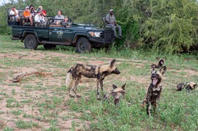 Tulela Safari Lodge