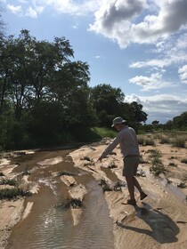 Tulela Safari Lodge