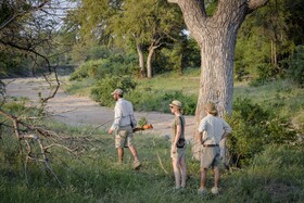 Tulela Safari Lodge