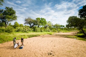 Tulela Safari Lodge