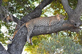 Tulela Safari Lodge