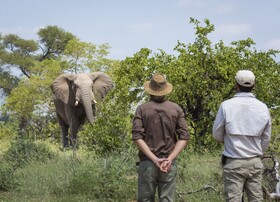 Tulela Safari Lodge