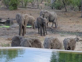 Tulela Safari Lodge