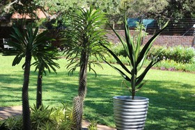 Ecolux Boutique Hotel & Spa