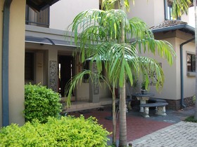 Meerkat Manor Guest House