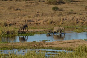 Buckler's Africa Lodge Kruger Park