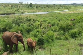 Buckler's Africa Lodge Kruger Park