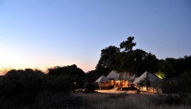 Hamiltons Tented Camp