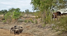 Hamiltons Tented Camp