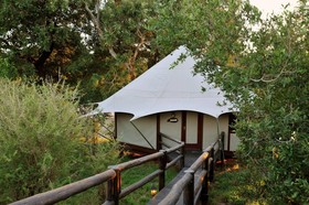 Hamiltons Tented Camp