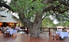 Hamiltons Tented Camp