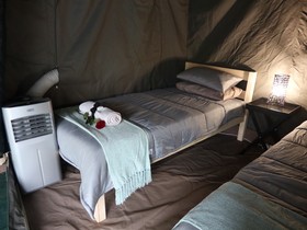 Kruger Park Tours