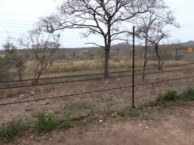 Kruger Park Tours