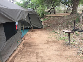 Kruger Park Tours