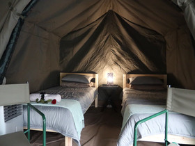 Kruger Park Tours