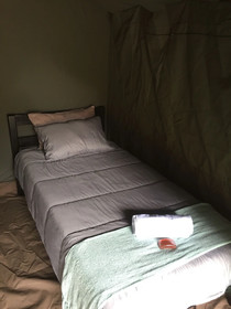 Kruger Park Tours