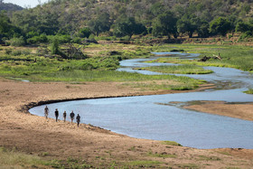 Pafuri Luxury Tented Camp