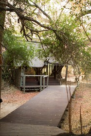 Plains Camp @ Rhino Walking Safaris