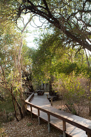Plains Camp @ Rhino Walking Safaris